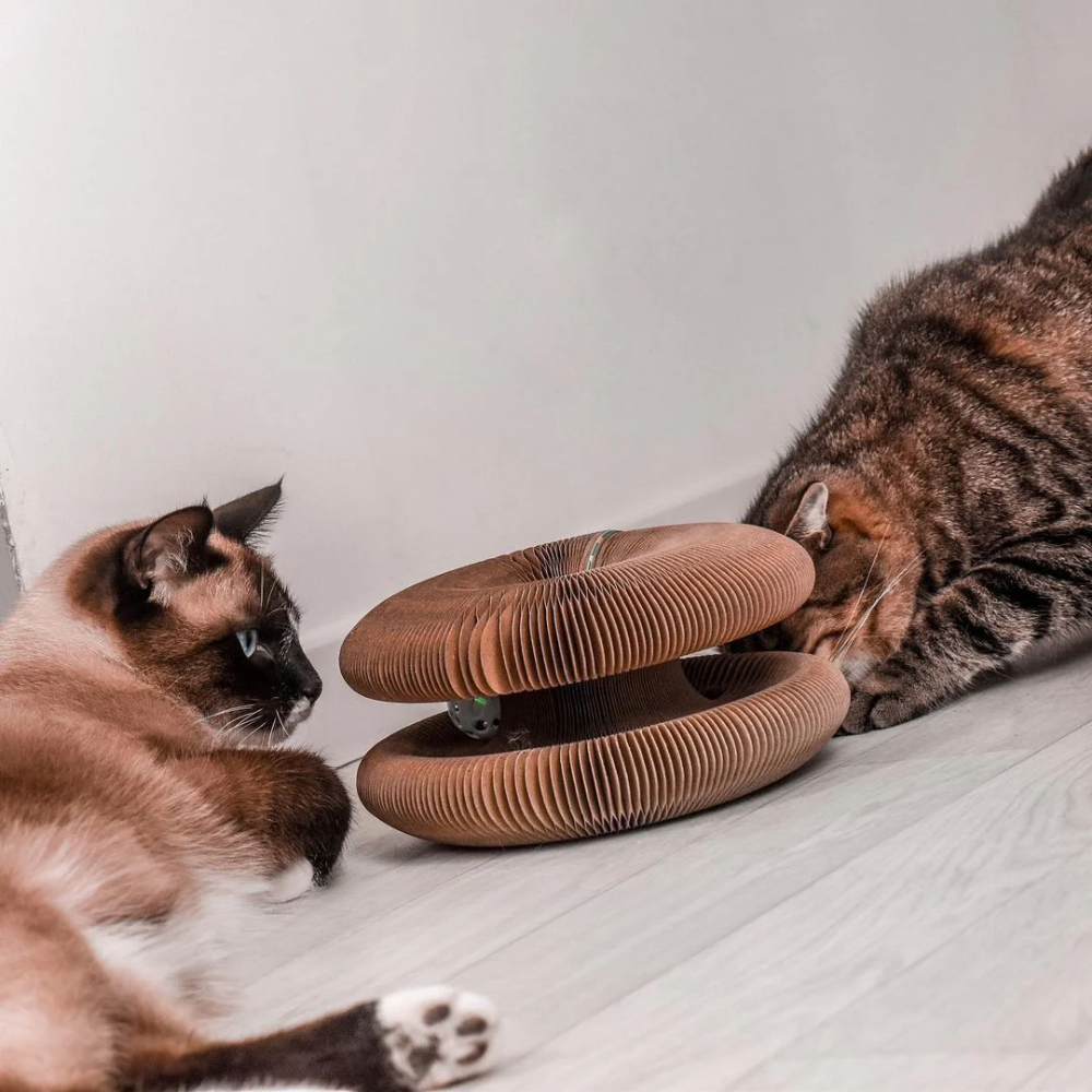 KITTYFY™️ - Kratzwirbel®